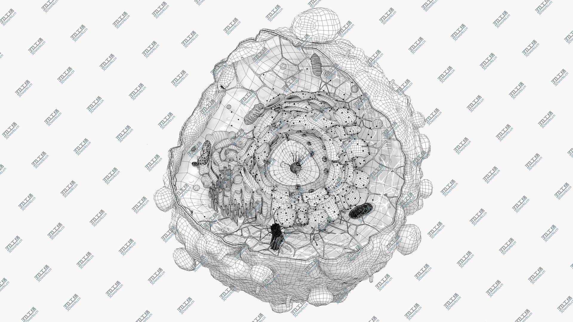 images/goods_img/202104021/3D Cancer Cell Structure model/4.jpg